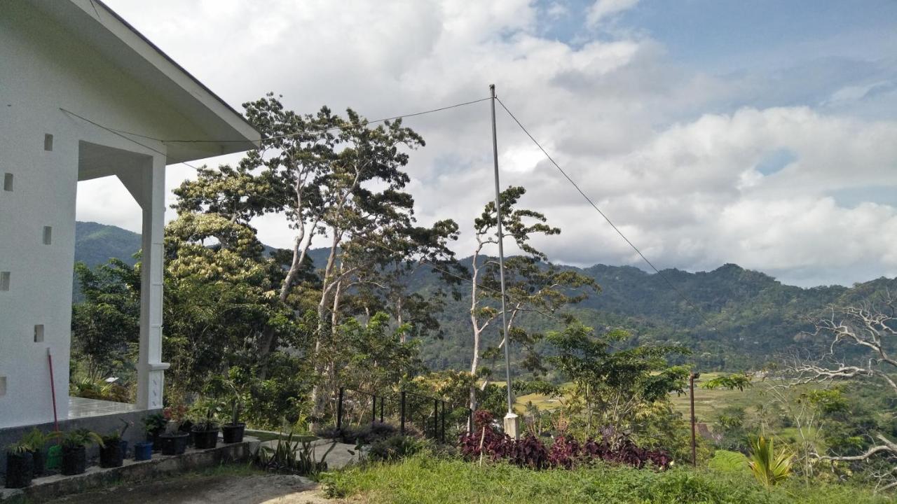 Filomena Lodge 英德 外观 照片